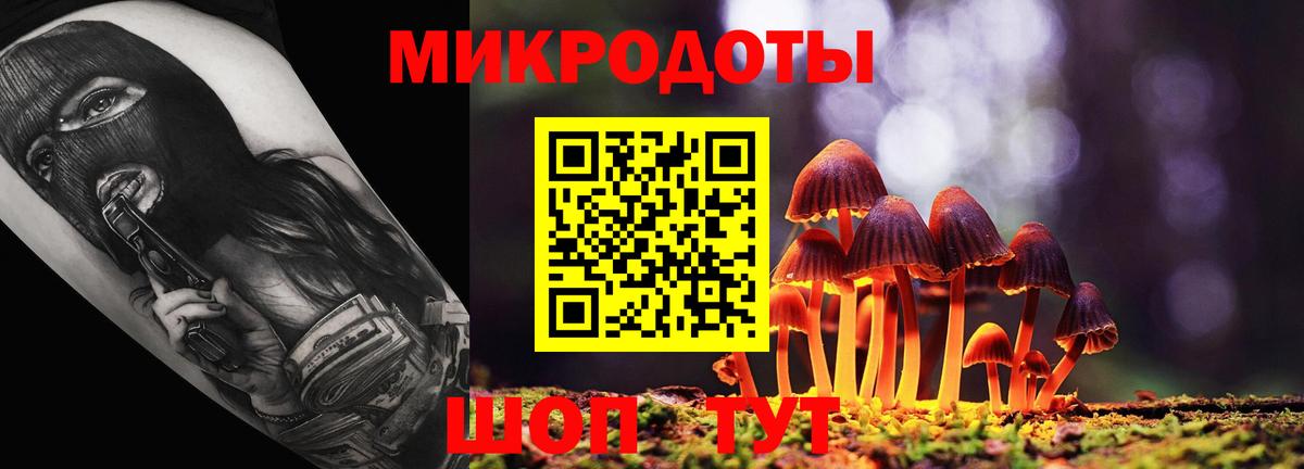 Кизляр  Галлюциногенные грибы Magic Shrooms  Вход с VPN 